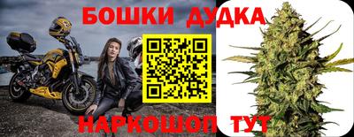 прущие крисы Малгобек