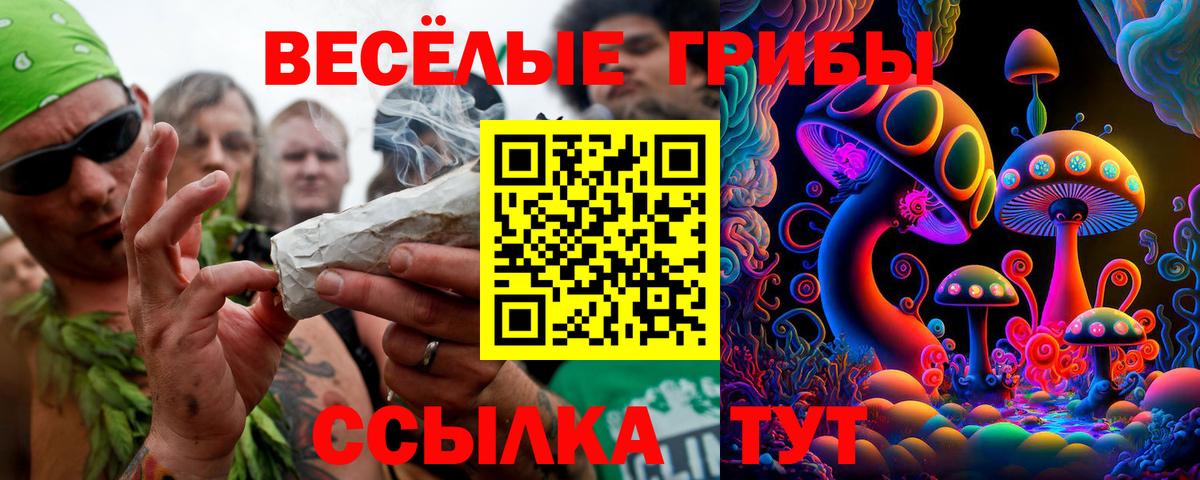 Волжск  Галлюциногенные грибы мухоморы  Вход с VPN 
