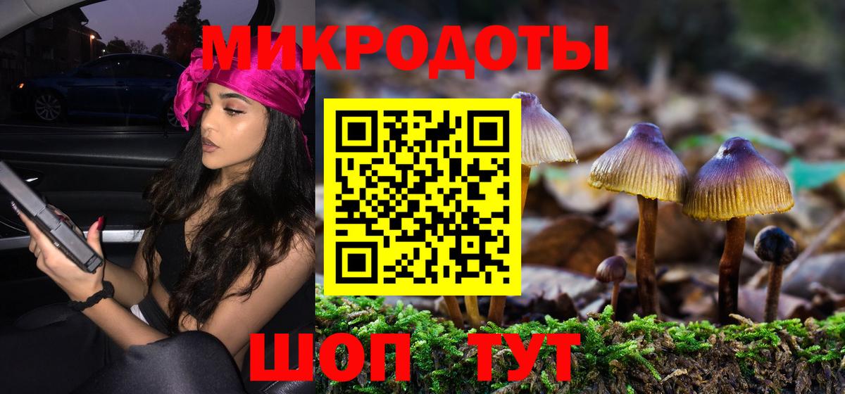 Галлюциногенные грибы Psilocybine cubensis Волжск